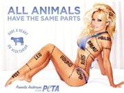 Bóng đá anh, ngoại hạng anh, lịch thi đấu euro 2012, Quảng cáo "gợi cảm" của Pamela Anderson bị cấm ở Canada